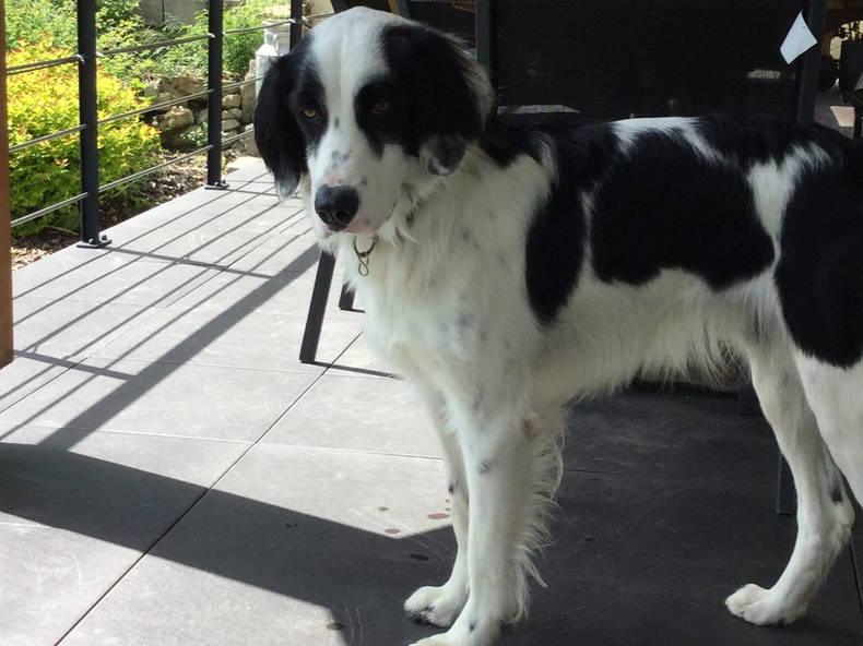 Chambre Chez L'habitant Serrières-sur-Ain 119556-1