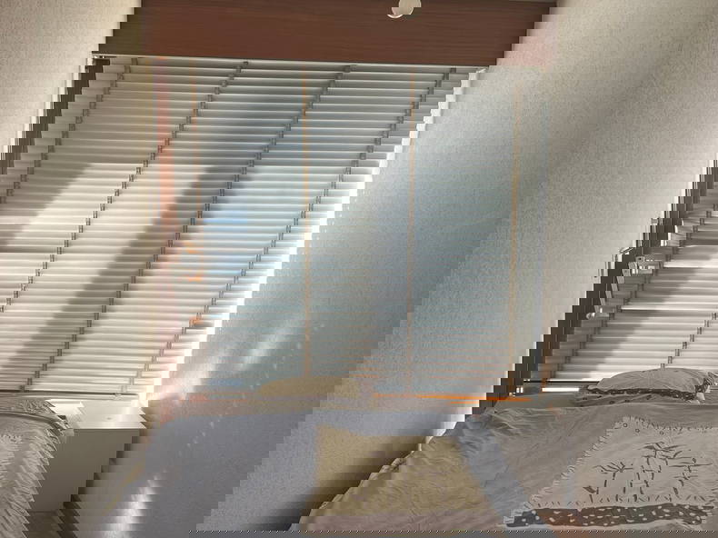 Colocation Genève 262058-4