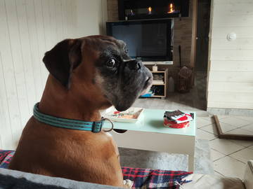 Tuisverblyf Nevers 455033-25