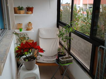 Homestay Pinhal Novo 455879-5