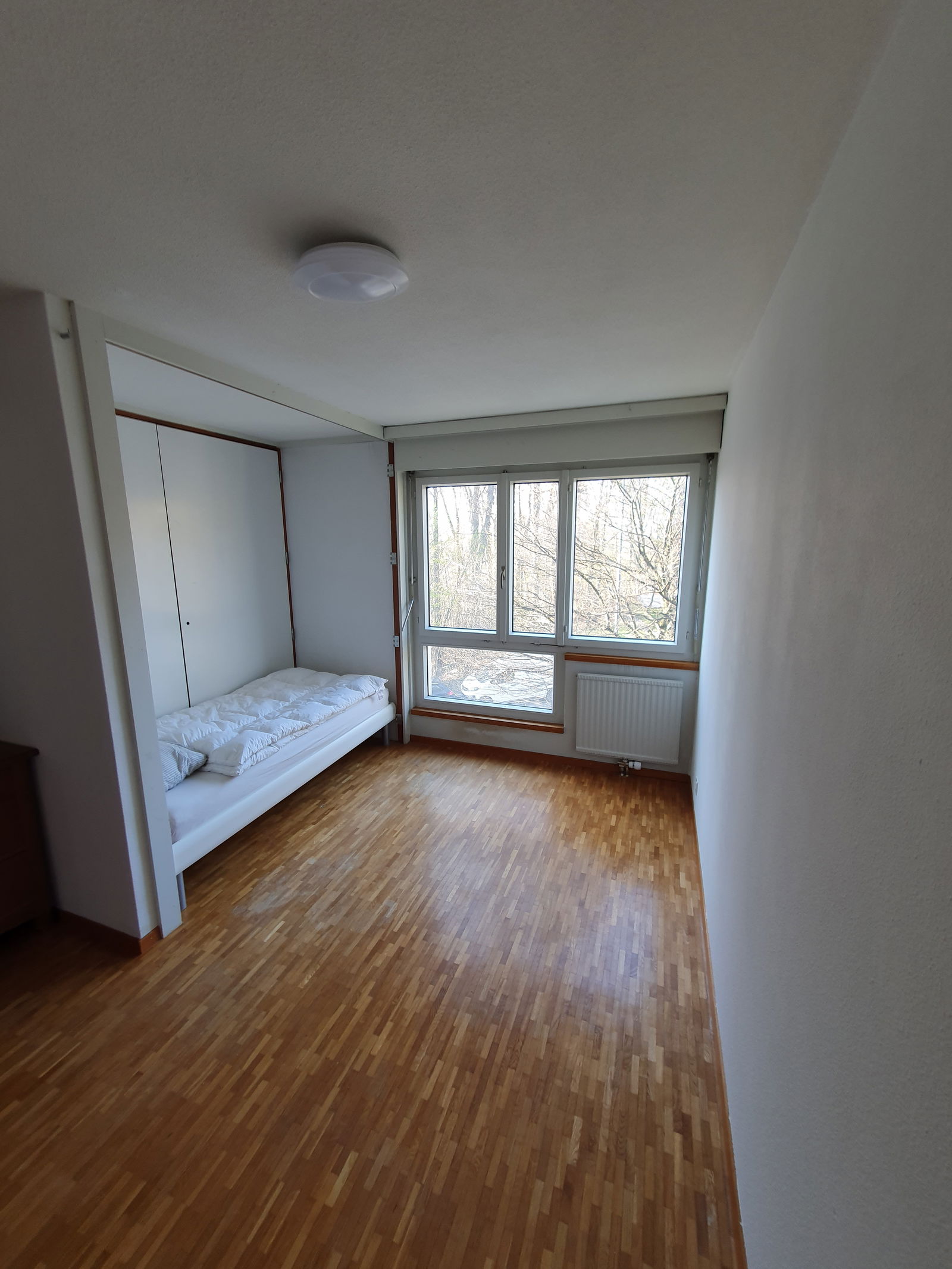 Chambre Chez L'habitant Fribourg 257715