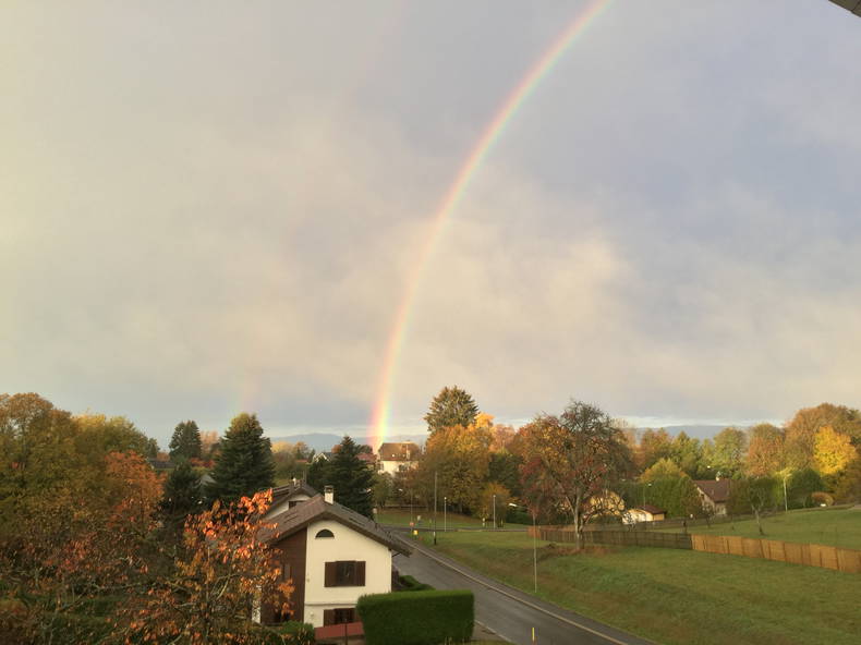 Homestay Epalinges 200265-3