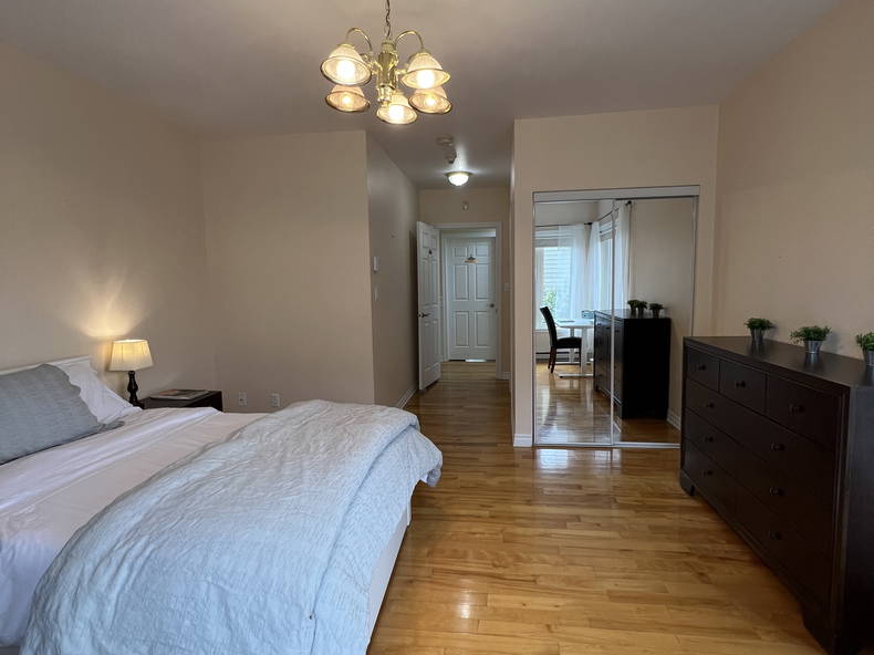 Kolokasie Saint-Hyacinthe 519418-4