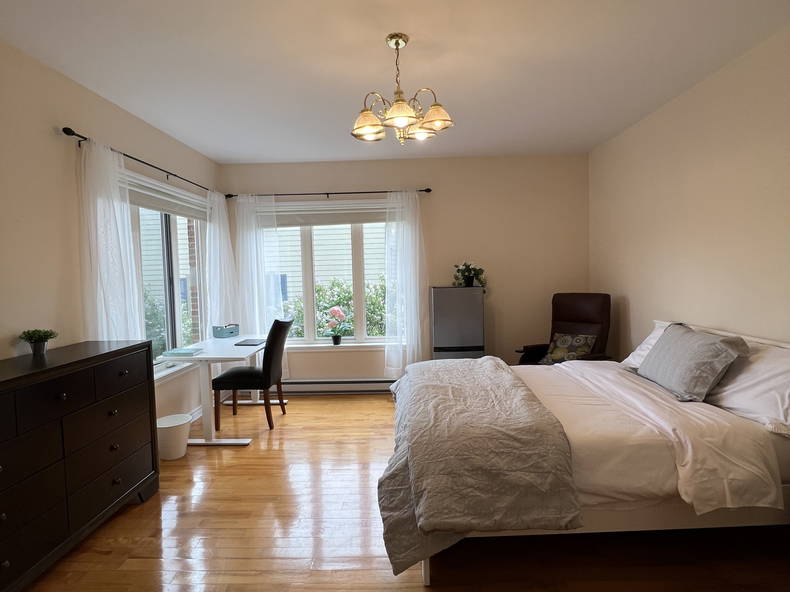 Kolokasie Saint-Hyacinthe 519418-1