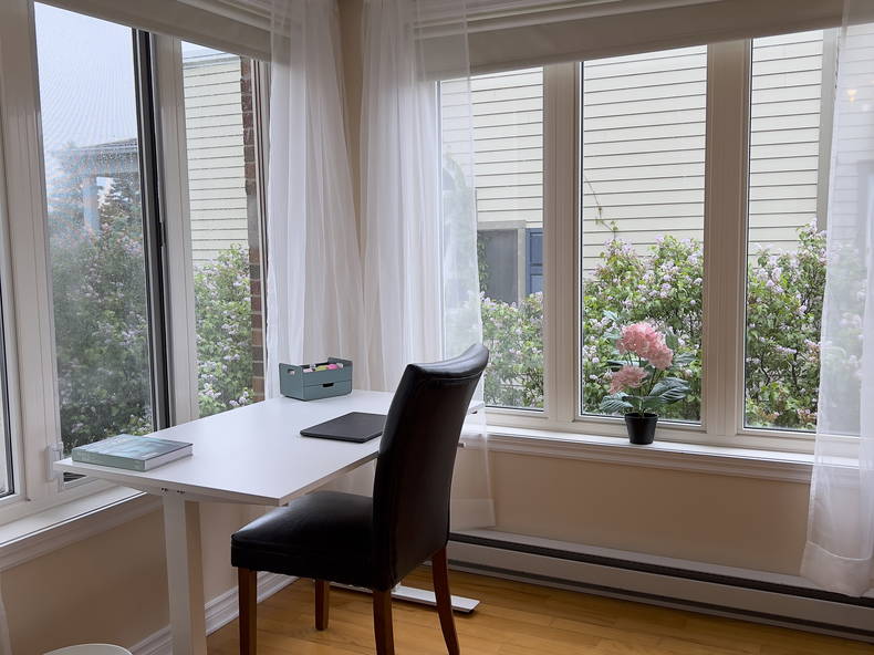 Kolokasie Saint-Hyacinthe 519418-2