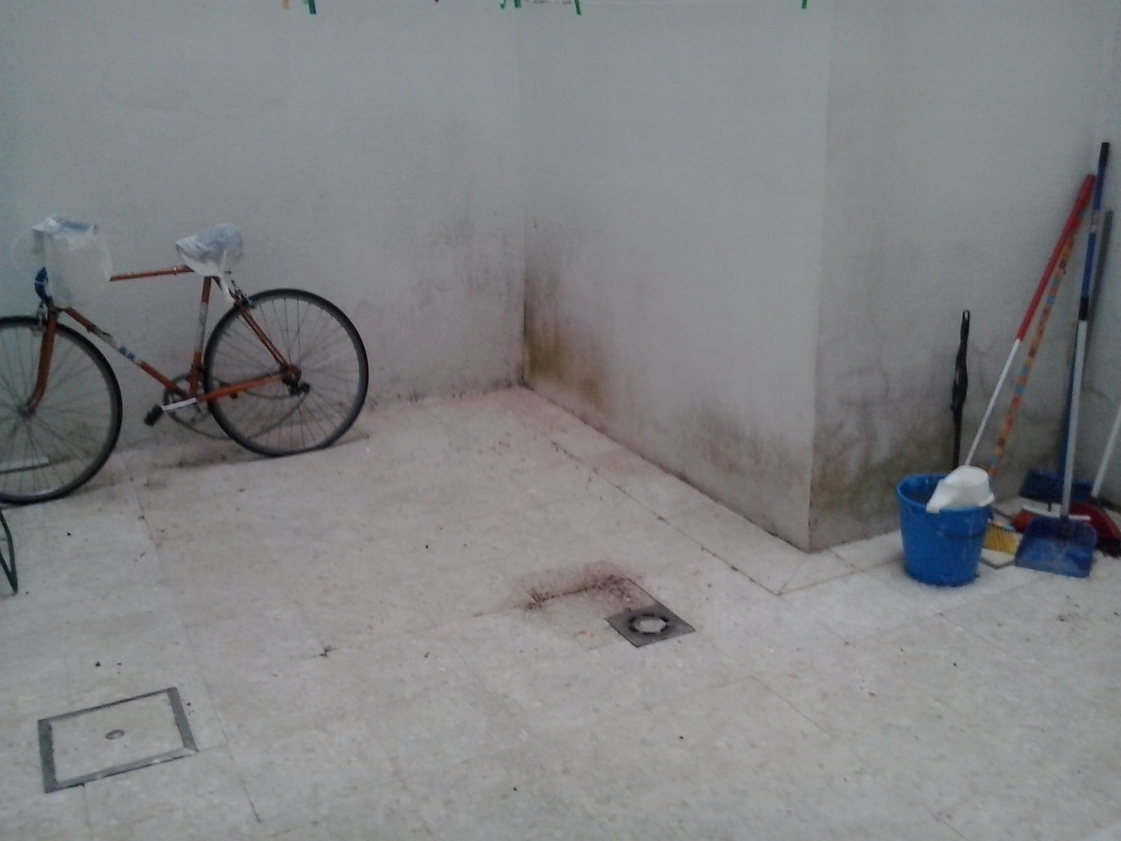 Colocation Sevilla 175578