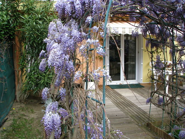 Kotimajoitus Colomiers 26148