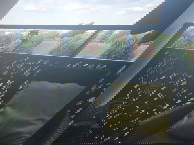 Gastfamilie Massy 502091-1