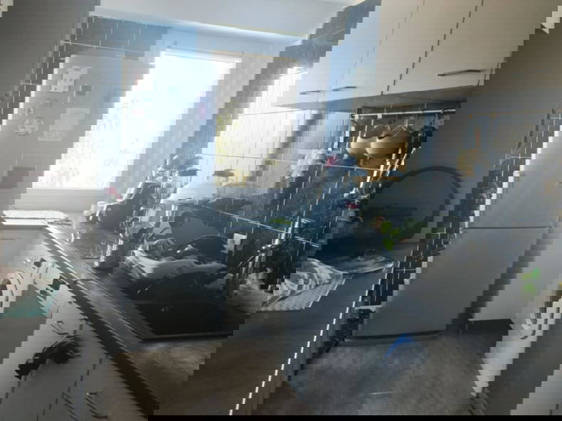 Gastfamilie Massy 502091-2