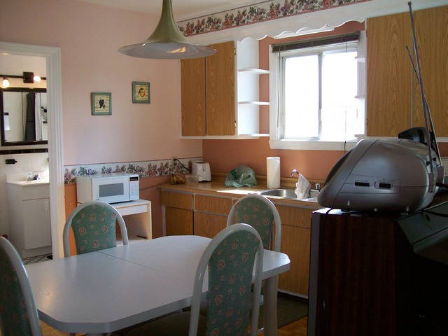 Kolokasie Longueuil 1240-3