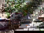 Quedarse En Casa Aubignan 540041