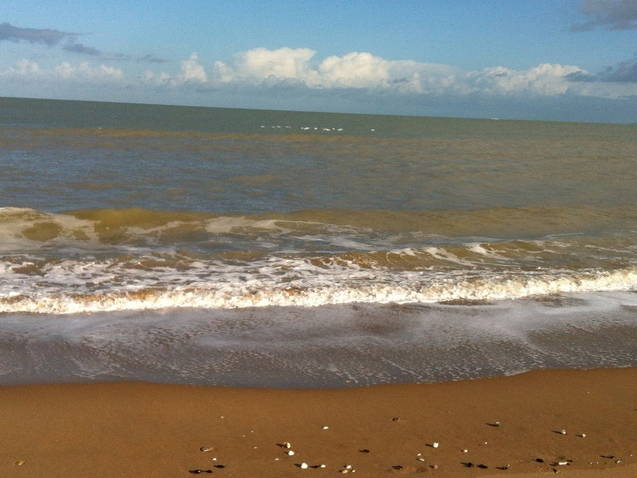 Bed And Breakfast Cabourg  42621-4