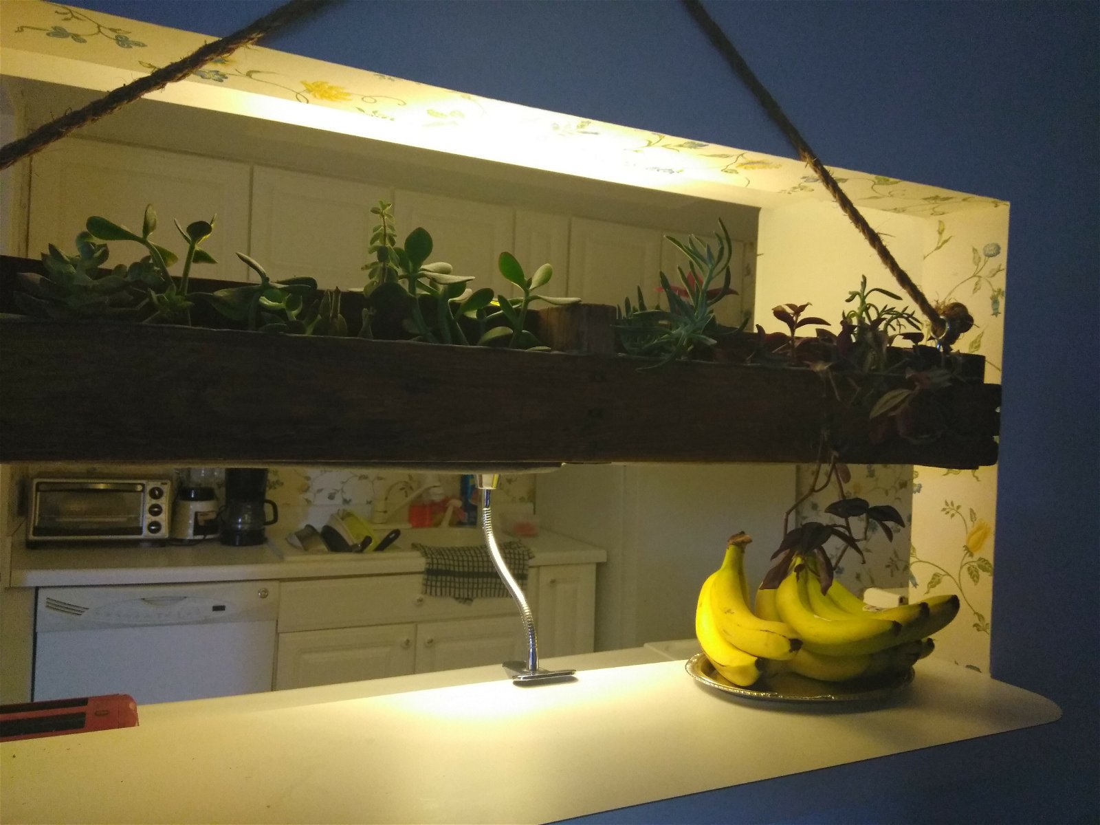 Chambre Chez L'habitant New Braunfels 202884