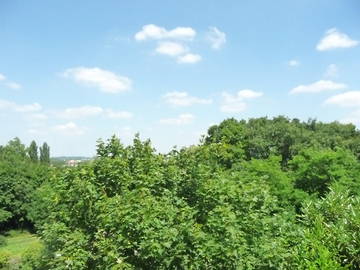 Chambre À Louer Joué-Lès-Tours 82663