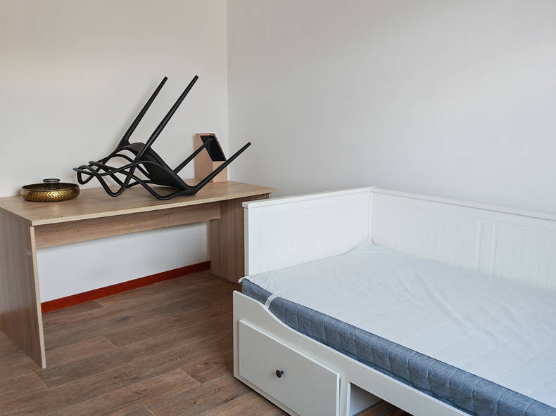 Kolokasie Charleroi 644279-2