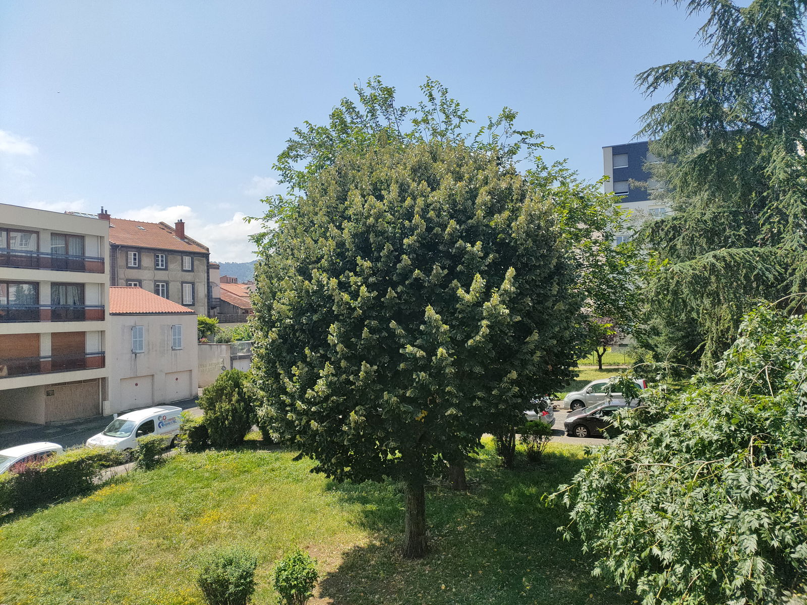 Colocation Beaumont 654981