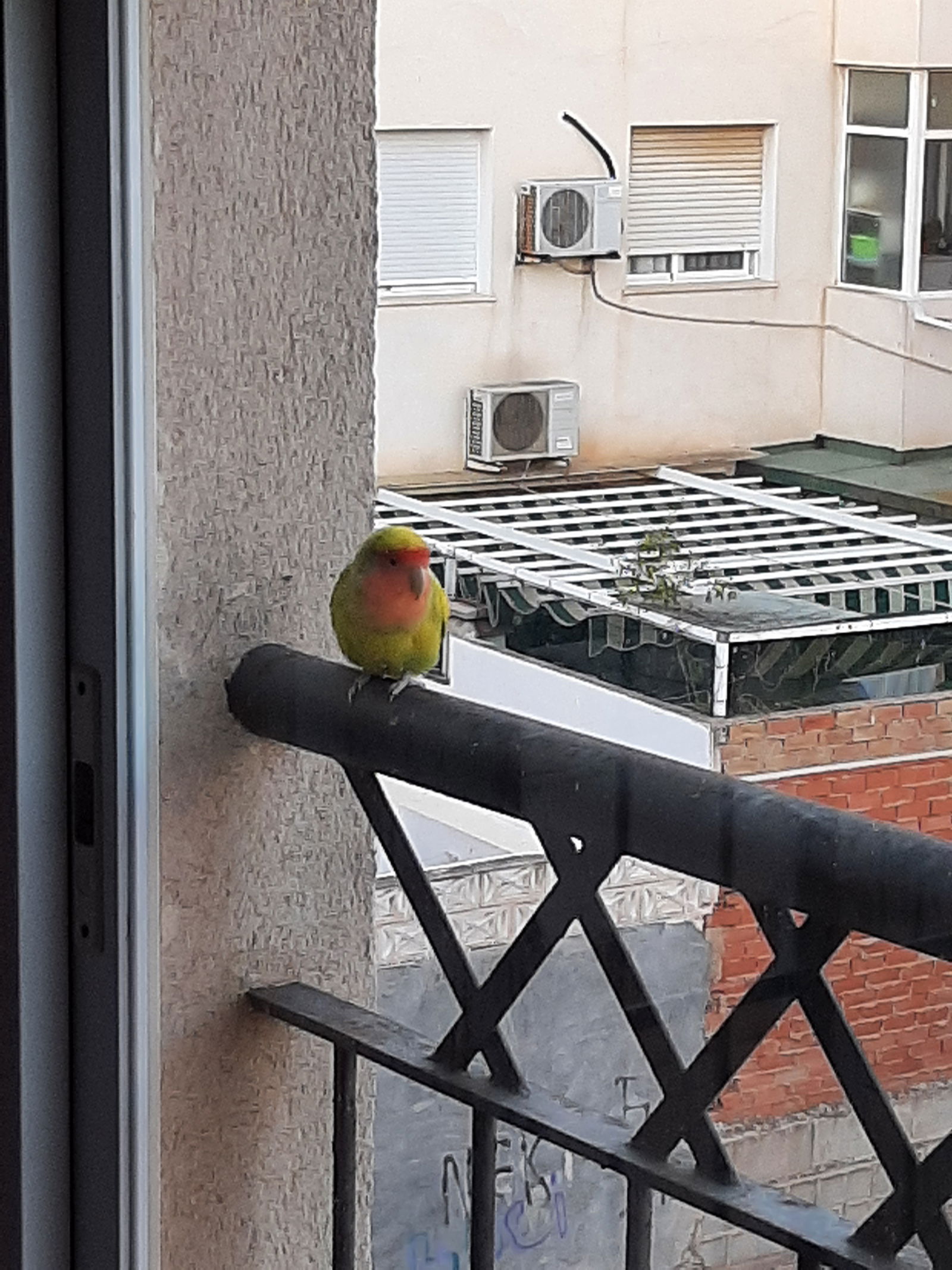 Chambre Chez L'habitant La Unión 257410
