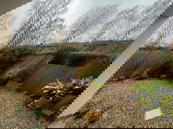 Kolokation Évry-Courcouronnes 495996-2