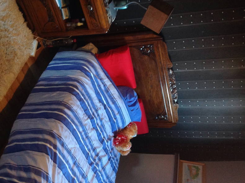 Gastfamilie Lille 95503-1