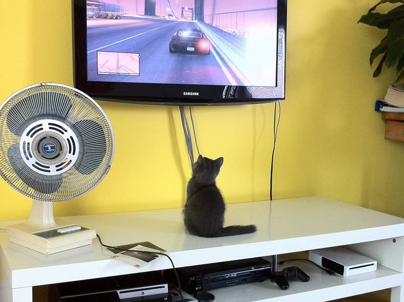 Colocación Sainte-Thérèse 66141-2