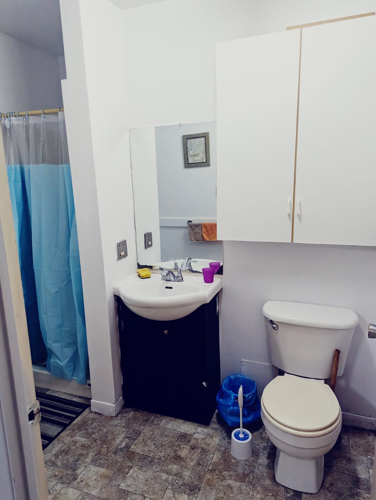 Colocation Saint-Hyacinthe 460887