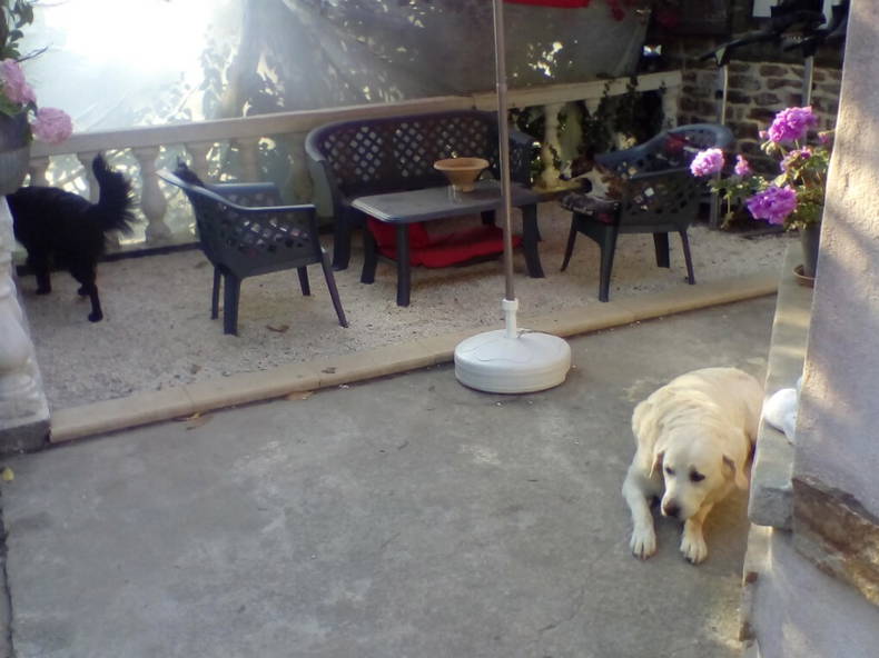 Gastfamilie Plémet 256996-3