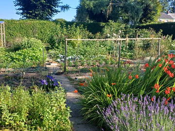 Chambre Chez L'habitant Ouffet 540623-9