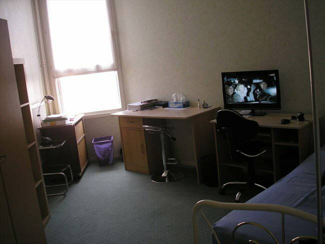 Kolokation Champs-sur-Marne 60976-1