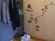 Colocation Genève 466131-1