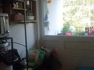 Colocation Genève 466131-4