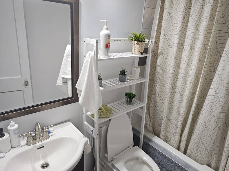 Colocation Montréal 458899-4