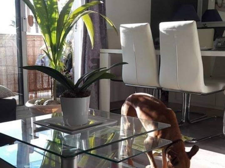 Hospedagem Em Casa De Família Nice 241736-2