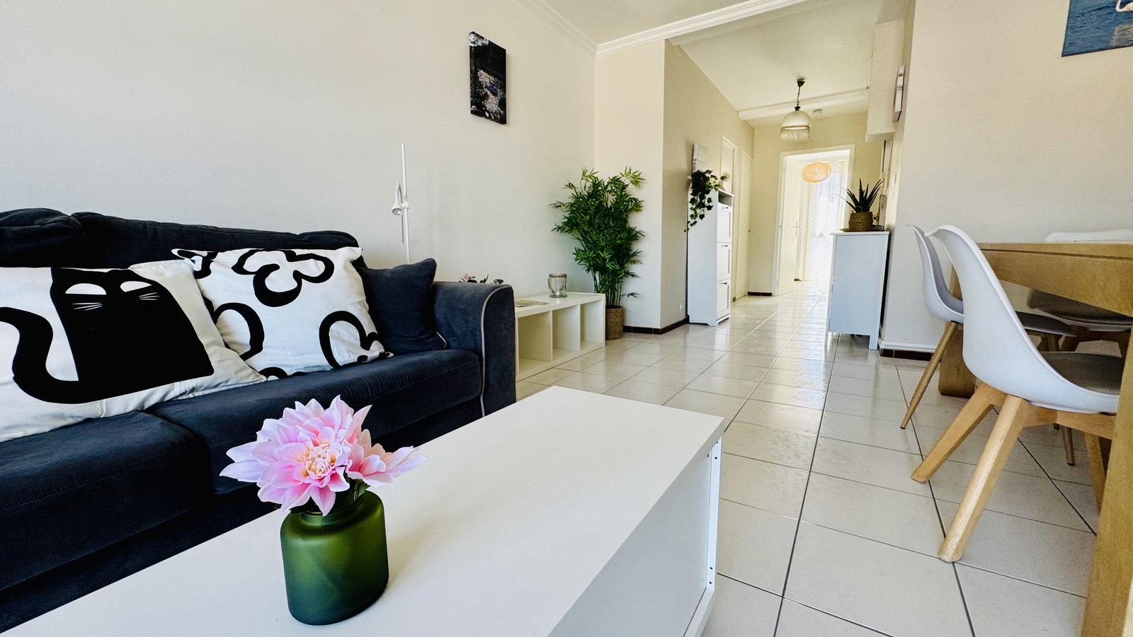 Colocation Toulon 653602