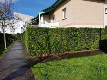 Chambre Chez L'habitant Toulouse 212585-6