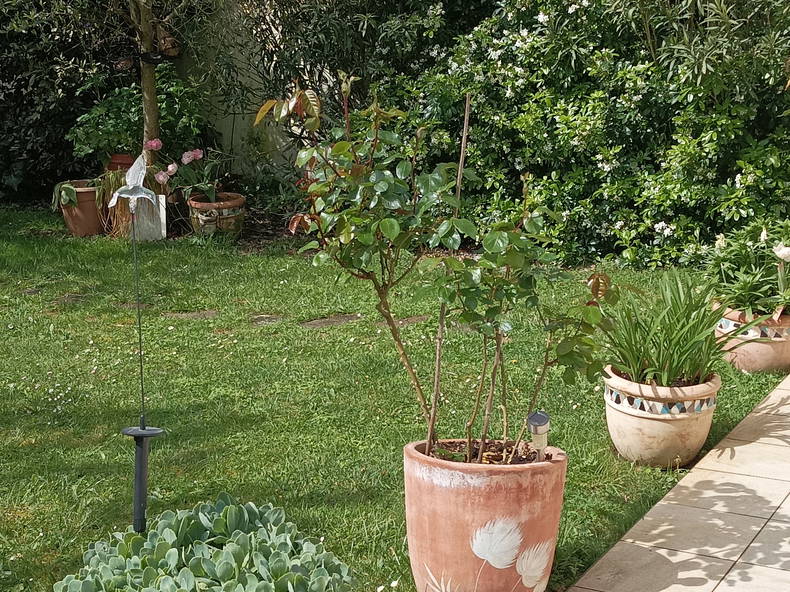 Gastgezin Poitiers 435969-2