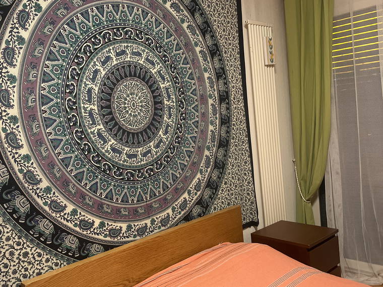 Homestay Thônex 518669