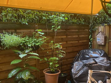 Quedarse En Casa Thônex 518669-3