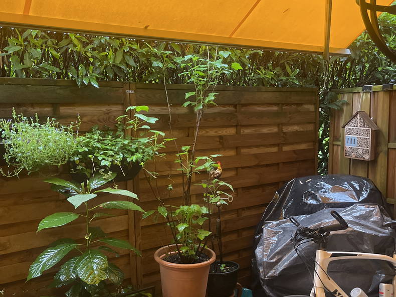 Colocation Thônex 518669-3