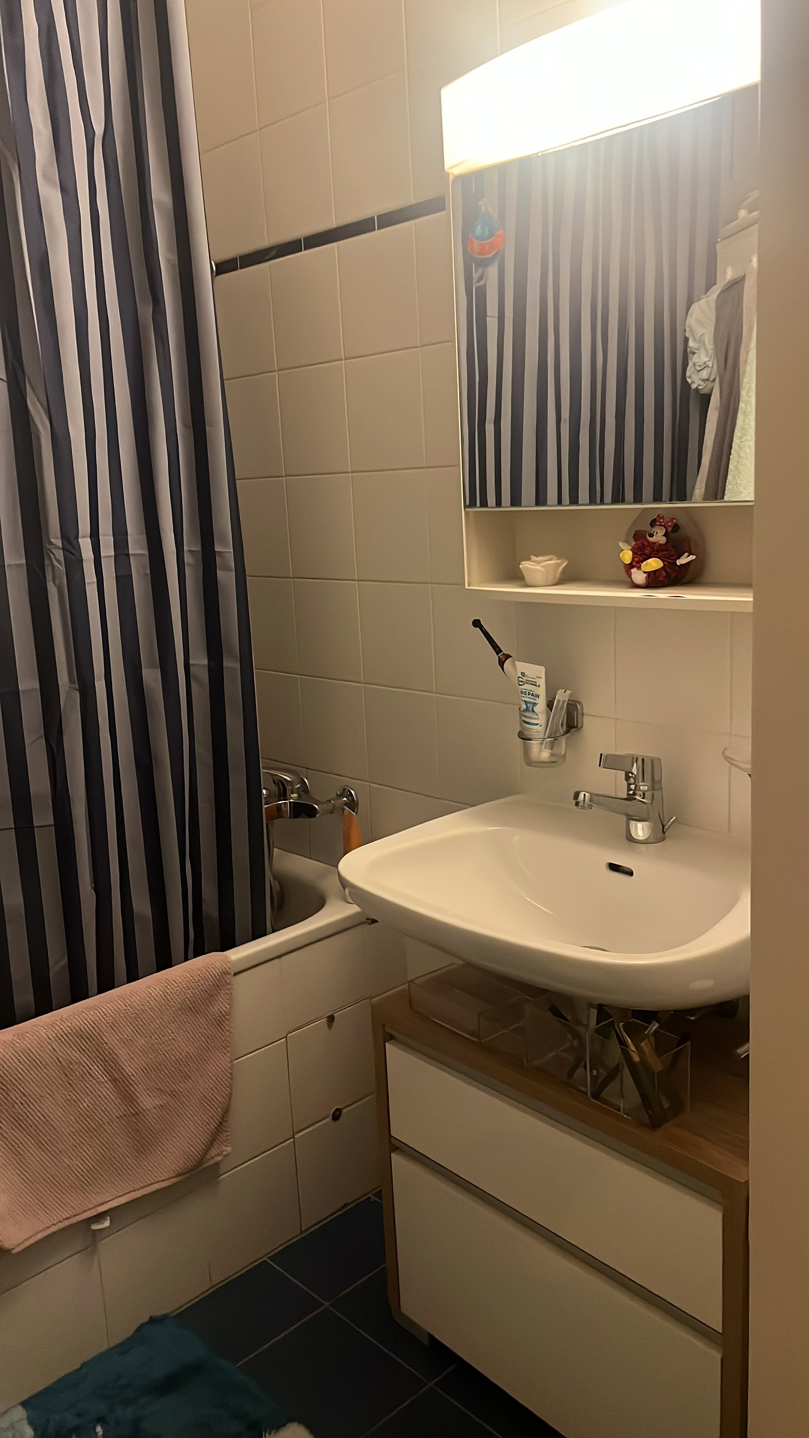 Colocation Thônex 518669