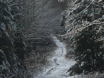 Homestay Val-David 227497-2