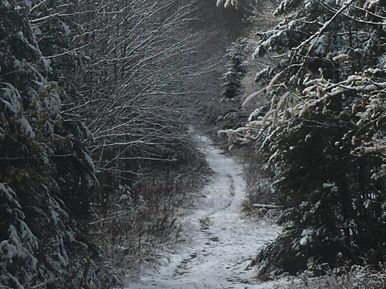 Homestay Val-David 227497-2