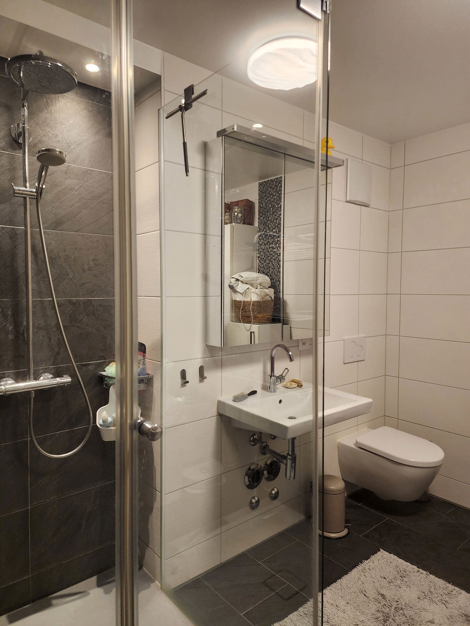 Chambre Chez L'habitant Yens 476480