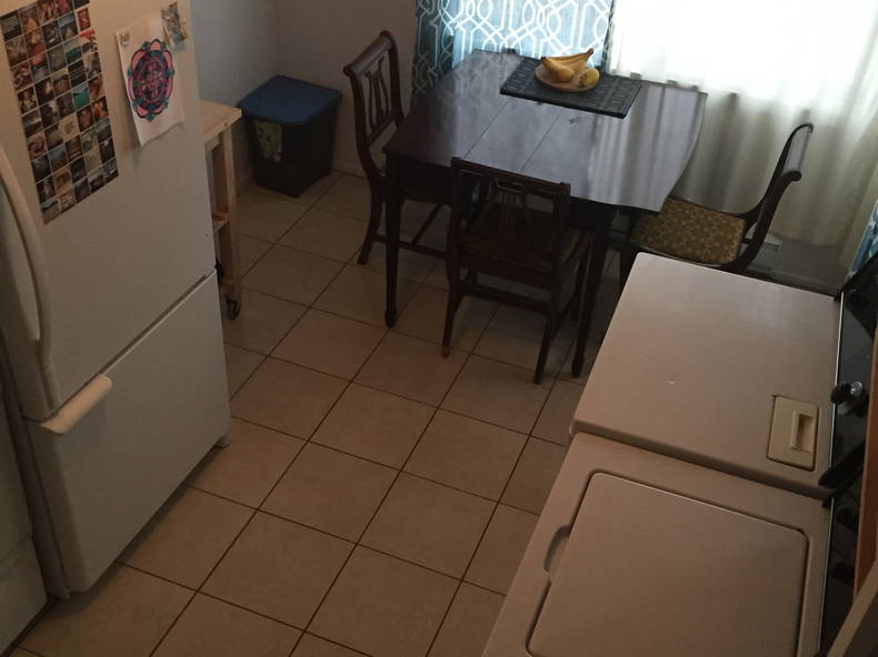 Kolokasie Montréal 122511-4