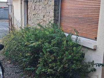 Chambre Chez L'habitant Nœux-Les-Mines 656773-18