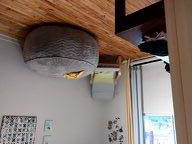 Chambre chez l'habitant à louer à Montréal - photo 1 : chambre-1