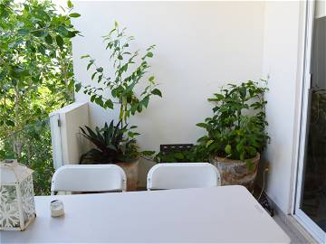 Chambre Chez L'habitant Playa Del Carmen 261418-9