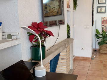 Homestay Palma 664928-5