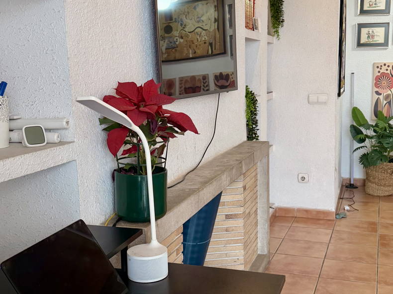 Homestay Palma 664928-5