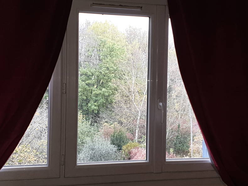 Gastfamilie Antony 231853-5