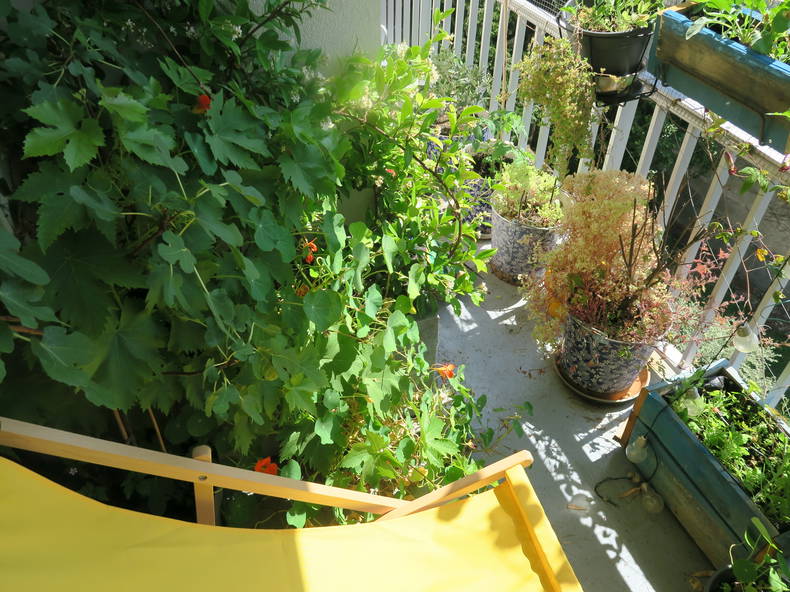 Homestay Paris 247543-2